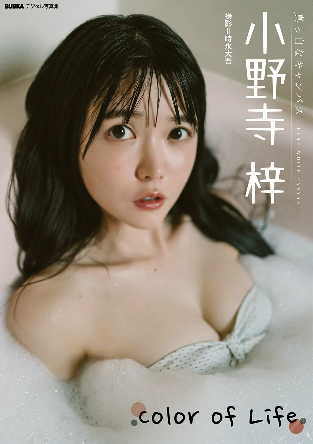 小野寺梓「Color of Life」 BUBKAデジタル写真集  2023.02.16-趣味社