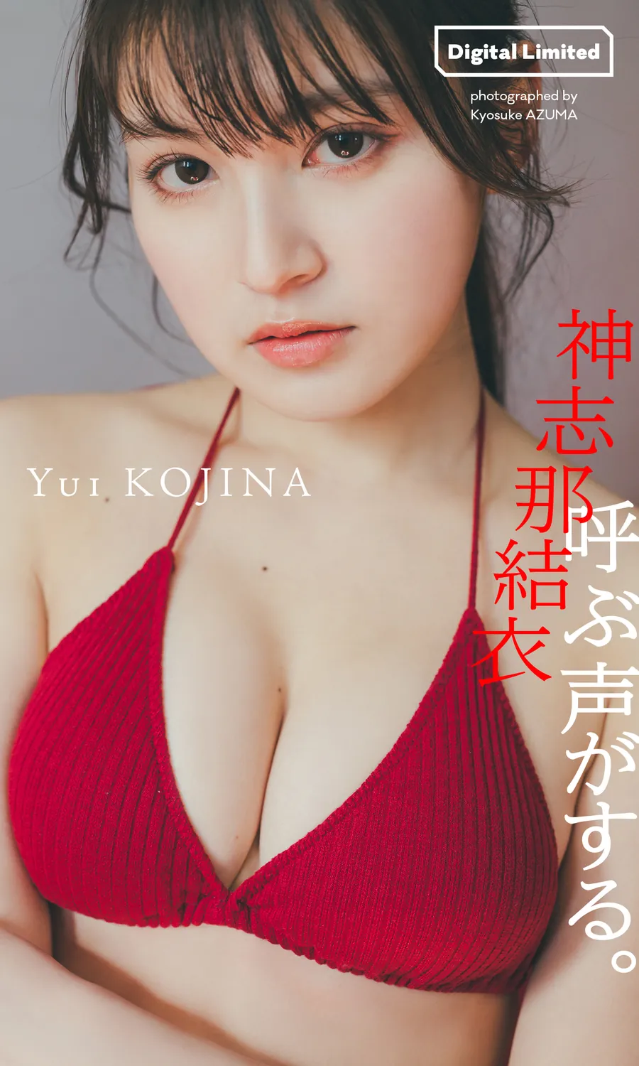 デジタル限定】神志那結衣写真集「呼ぶ声がする。」 週プレ PHOTO BOOK (2023-06-05)-趣味社