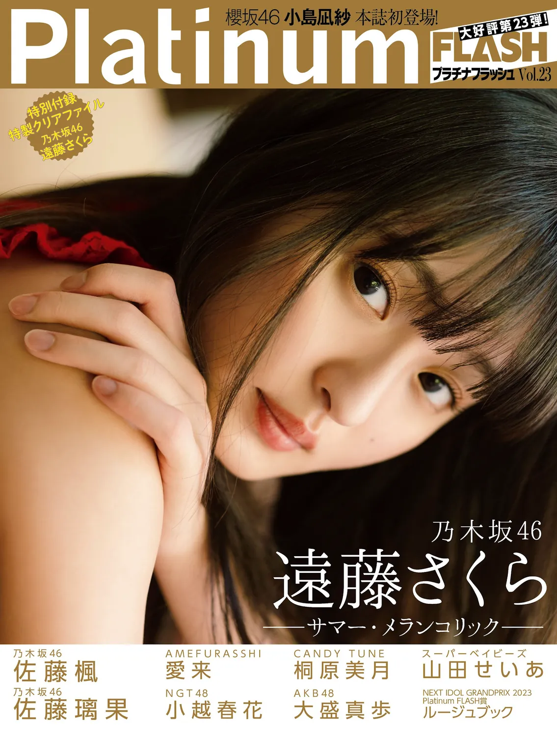 Platinum Flash VOL.023 (2023) 乃木坂46 遠藤さくら 佐藤楓 佐藤璃果 櫻坂46 小島凪紗 愛来 NGT48 小越春花 AKB48 大盛真歩 桐原美月 山田せいあ-趣味社
