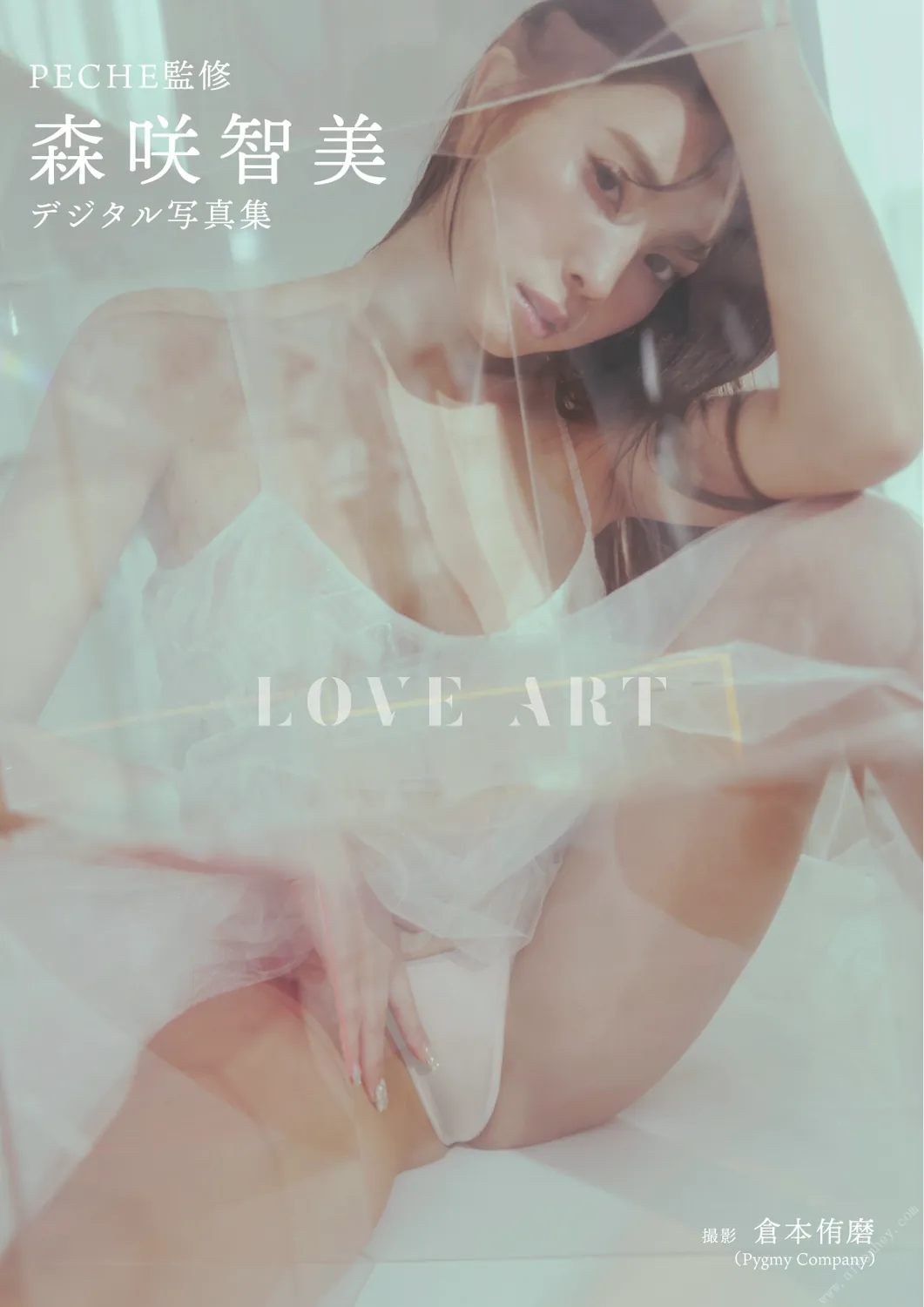 【デジタル限定】PECHE監修 森咲智美写真集『LOVE ART』 2022(2022-12-24)-趣味社